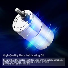 DC Spur Gear Motor 37GB530