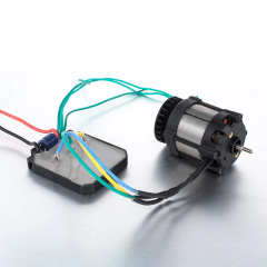 BLDC Motor BL38