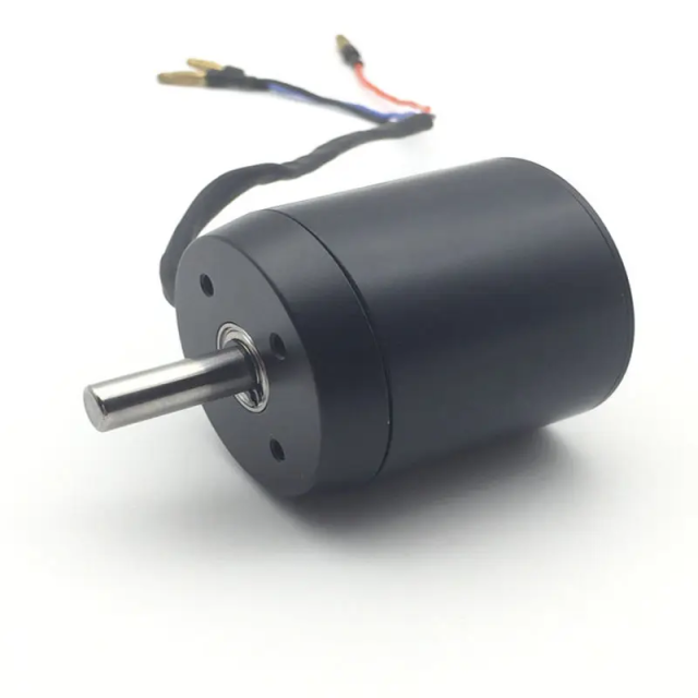 BLDC Motor BL63