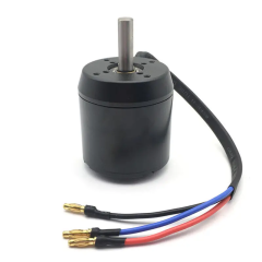 BLDC Motor BL63