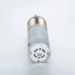 DC Planetary Gear Motor 36PG555