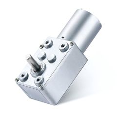 DC Worm Gear Motor 5840WF555