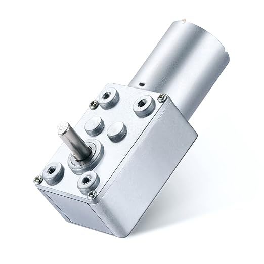 DC Worm Gear Motor 5840WF555