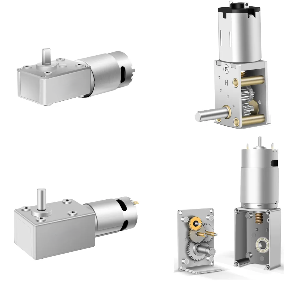 DC Worm Gear Motor 5840WF555