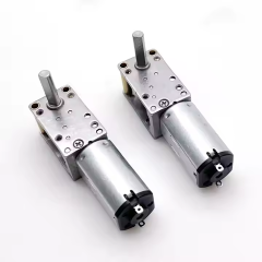 DC Worm Gear Motor TWG1220-N20N30