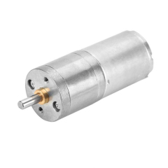 DC Spur Gear Motor 25GA370