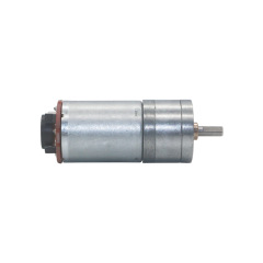 DC Spur Gear Motor 25GA370
