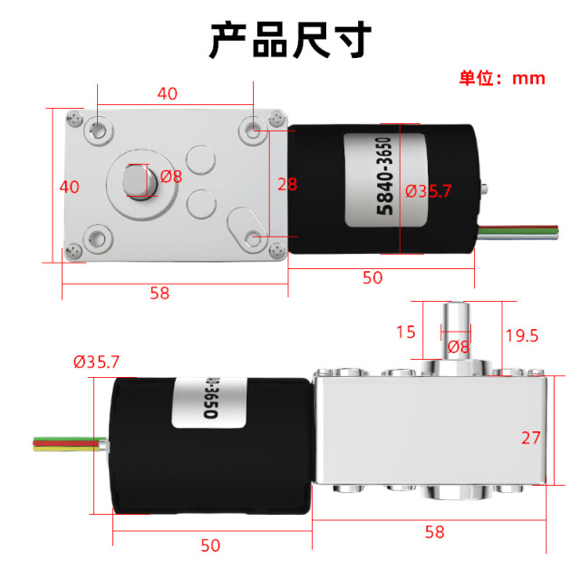 DC Worm Gear Motor 5840-3650