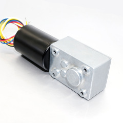 DC Worm Gear Motor 5840-3650