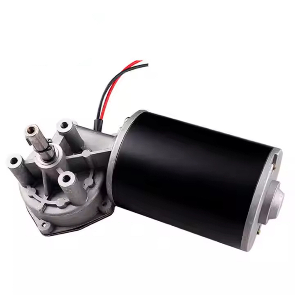 DC Worm Gear Motor D63-R