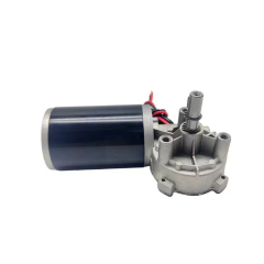 DC Worm Gear Motor D63-R