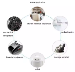 DC Worm Gear Motor D63-R