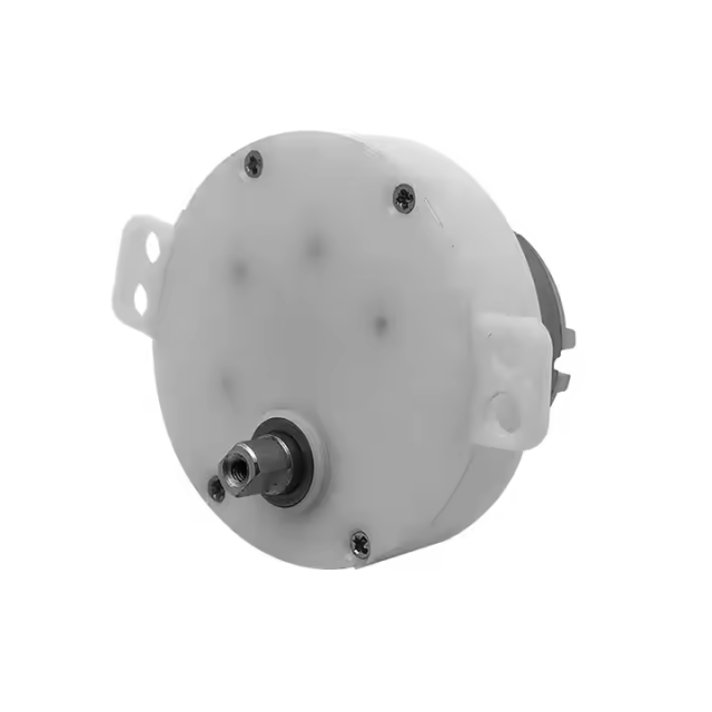 DC Spur Gear Motor JS50