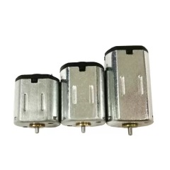 Brushed DC Motor  N10N20N30