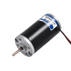 Brushed DC Motor 31ZY