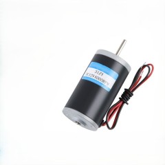 Brushed DC Motor 31ZY