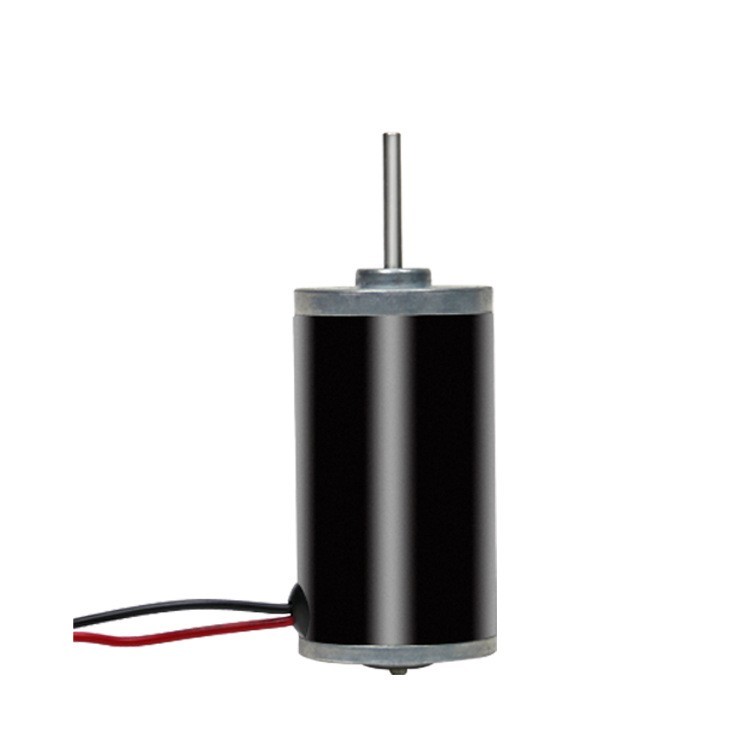Brushed DC Motor 31ZY