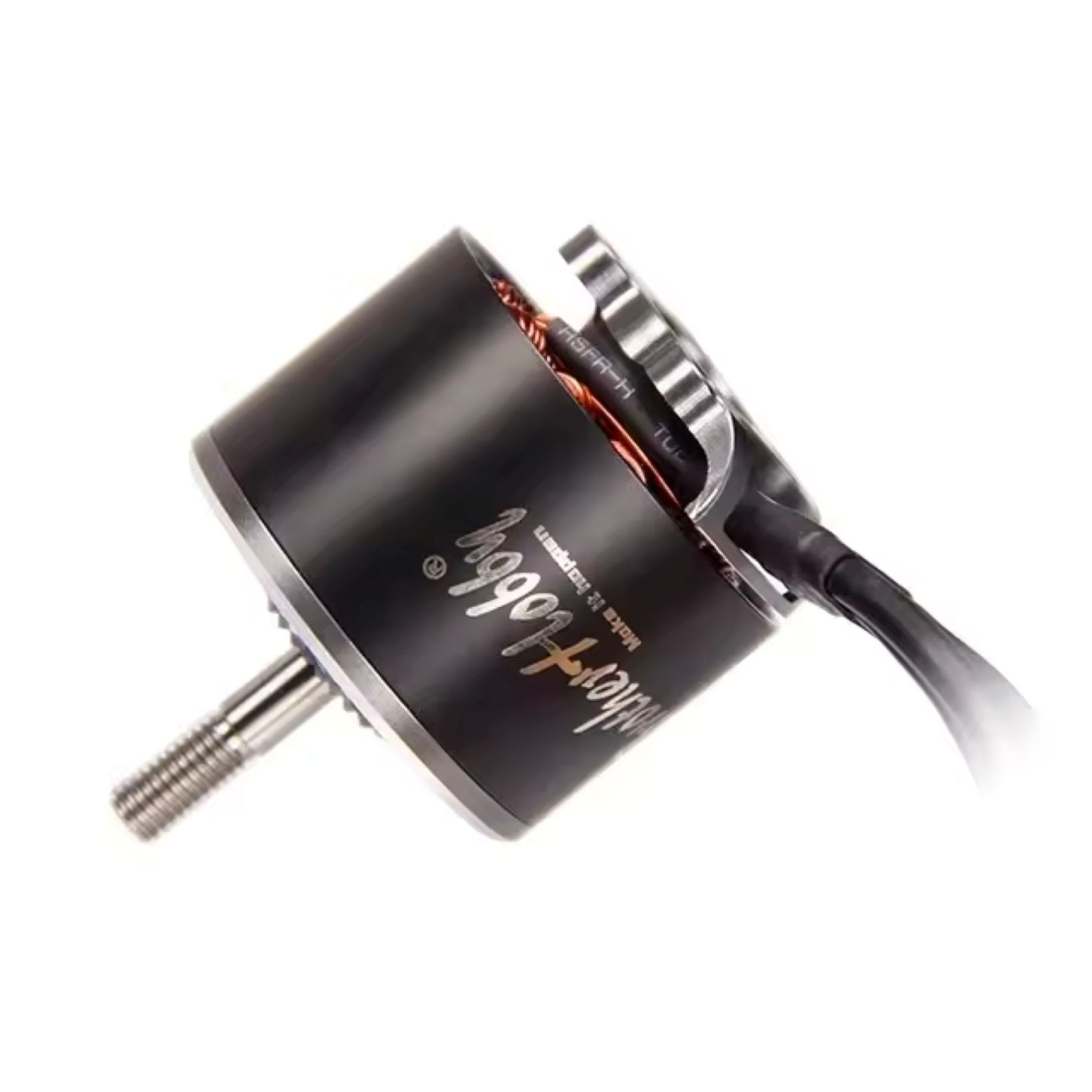 BLDC Motor BL3120