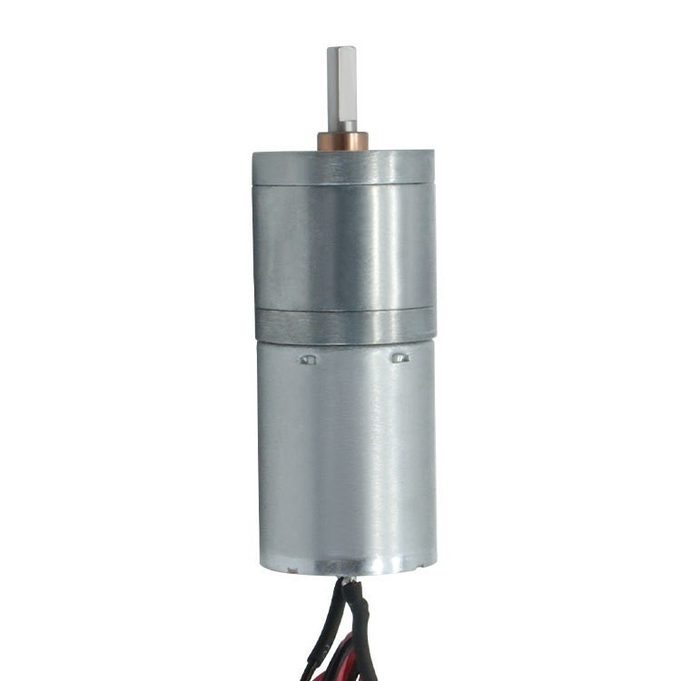 DC Spur Gear Motor GM25-2430