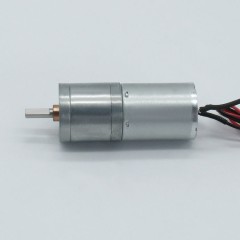DC Spur Gear Motor GM25-2430