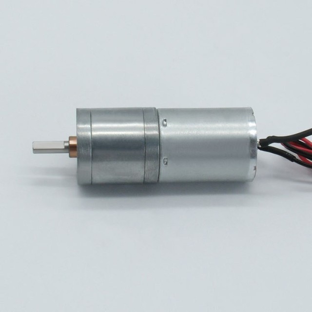 DC Spur Gear Motor GM25-2430