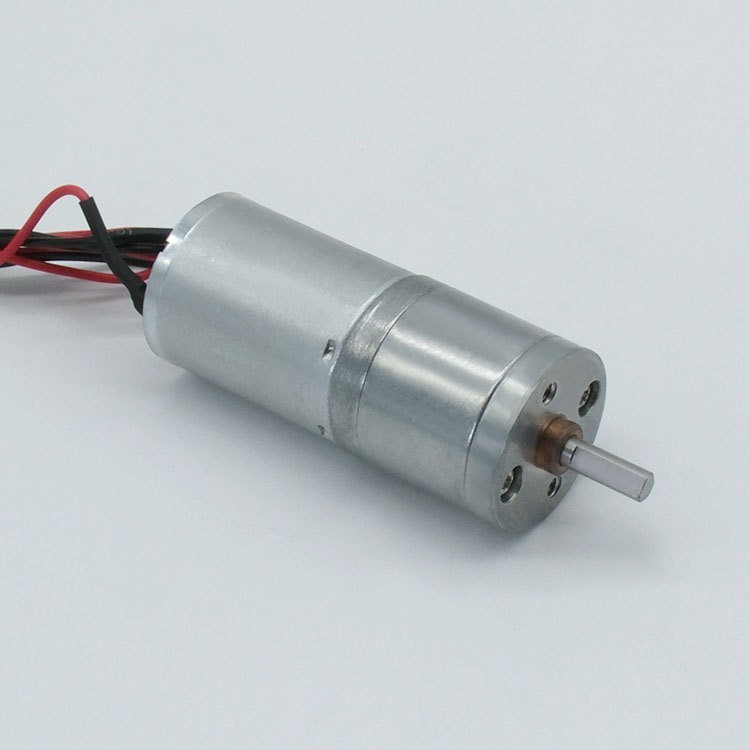DC Spur Gear Motor GM25-2430