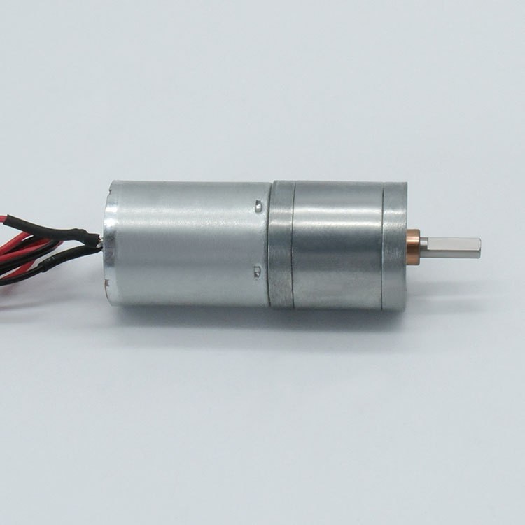 DC Spur Gear Motor GM25-2430