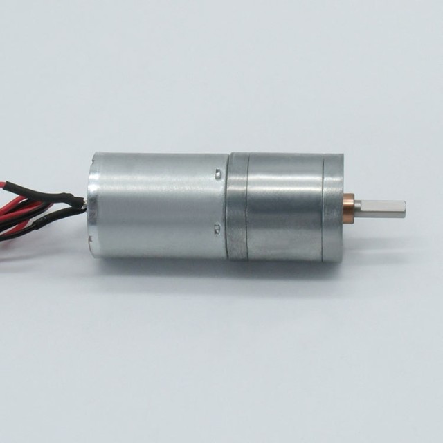 DC Spur Gear Motor GM25-2430