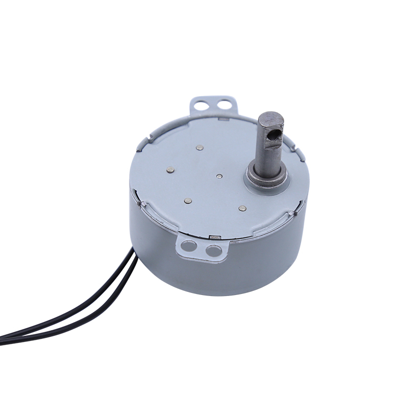 Synchronous motor 49TYJ-D/E