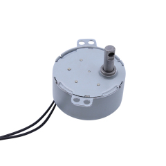 Synchronous motor 49TYJ-D/E