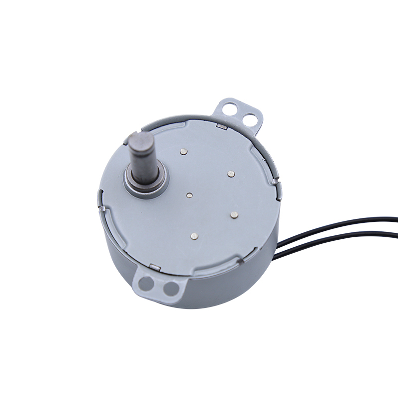 Synchronous motor 49TYJ-D/E