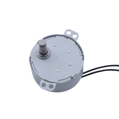 Synchronous motor 49TYJ-D/E