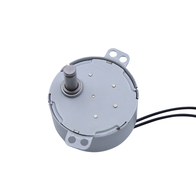 Synchronous motor 49TYJ-D/E