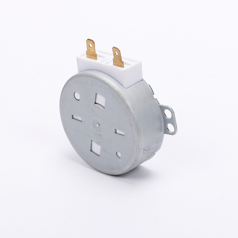 Synchronous motor TYJ50-B/C