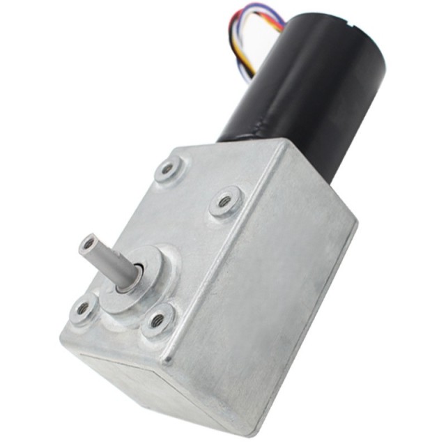 DC Worm Gear Motor 5882-4260