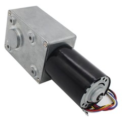 DC Worm Gear Motor 5882-4260