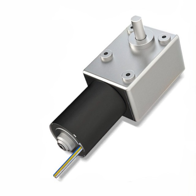 DC Worm Gear Motor 5882-4260
