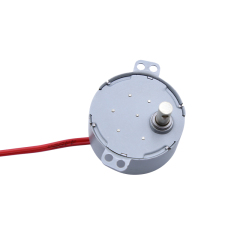 Synchronous motor 49TYJ-D/E