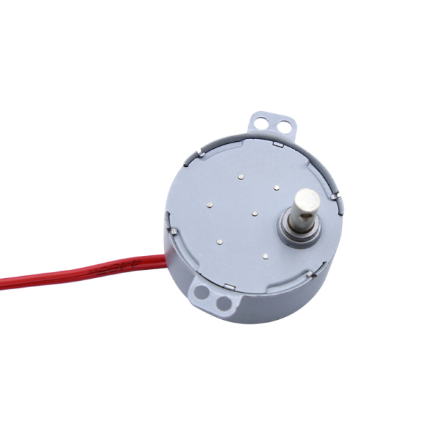 Synchronous motor 49TYJ-D/E