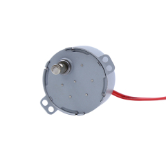 Synchronous motor 49TYJ-D/E