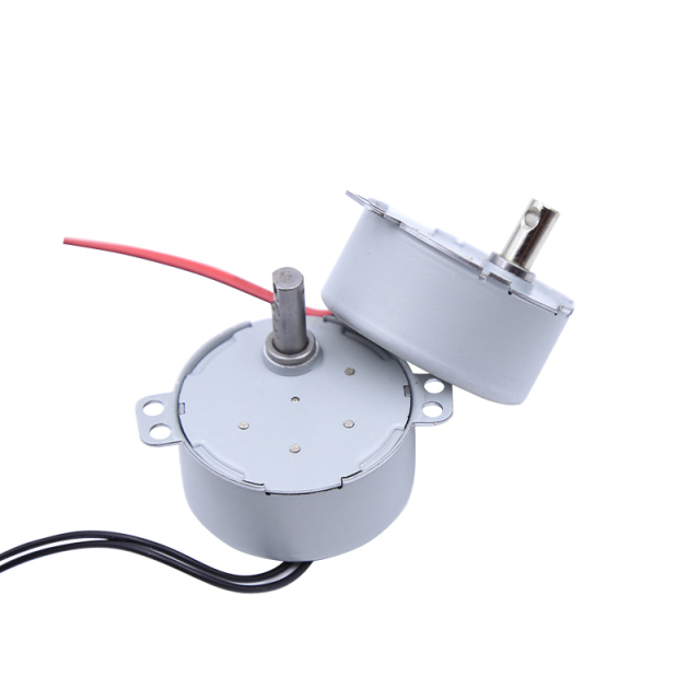 Synchronous motor 49TYJ-D/E