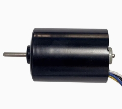 BLDC Motor BL2838