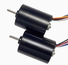 BLDC Motor BL2838