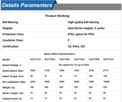 Brushed DC Motor 31ZY