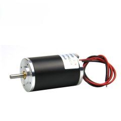 Brushed DC Motor 31ZY