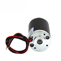 Brushed DC Motor 31ZY