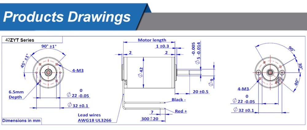 Brushed DC Motor 31ZY