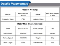 Brushed DC Motor 31ZY