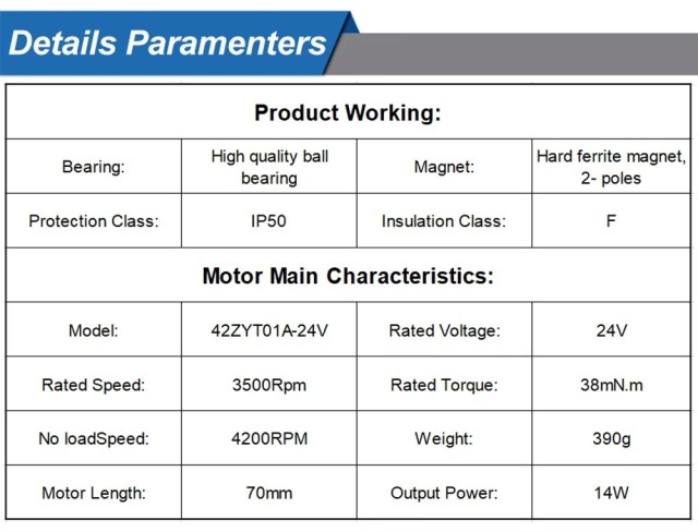 Brushed DC Motor 31ZY