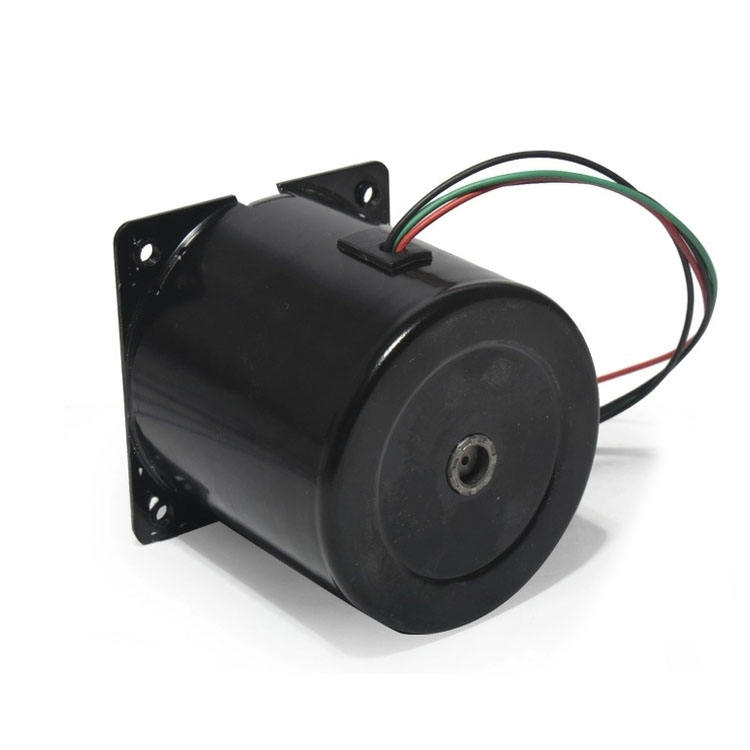 Synchronous Motor 80KTYZ